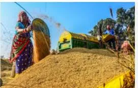 2,500 Bags of Paddy Left Unlifted for a Week at Tukla Mandi; Farmers Fear Token Lapse Amid Millers’ Agitation