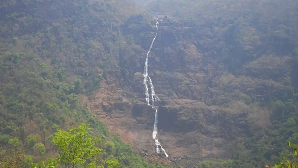 "Cold Wave Intensifies in Odisha: Similipal Records 0°C"