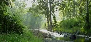 Similipal shivers at zero degree Celsius as cold wave tightens grip in Odisha